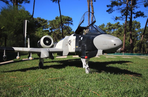 Filkemp Warthog A10