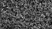 FreeFoam microstructure