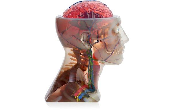 Gallery_PJ_J750_Head.jpg