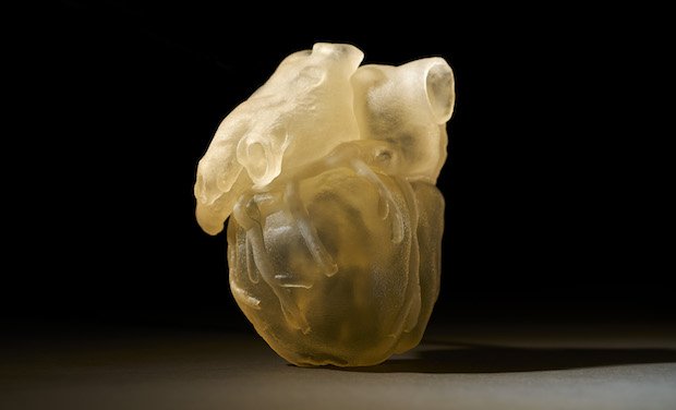 J750 Digital Anatomy.jpg