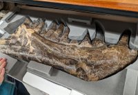 Natural History Museum 3D Visualisation Lab.jpg