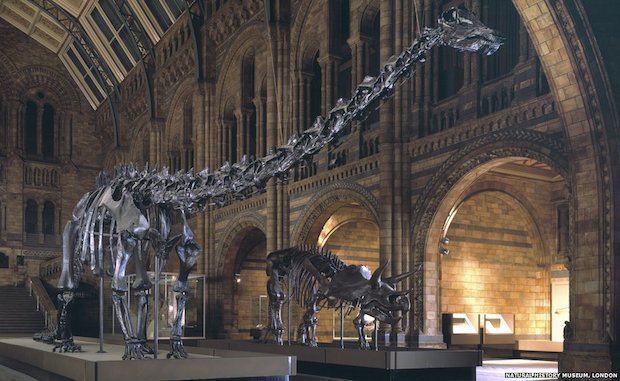 naturalhistorymuseum_dippy.jpg