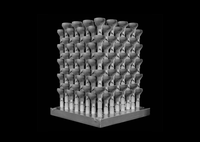 Alloyed featured image (1).png